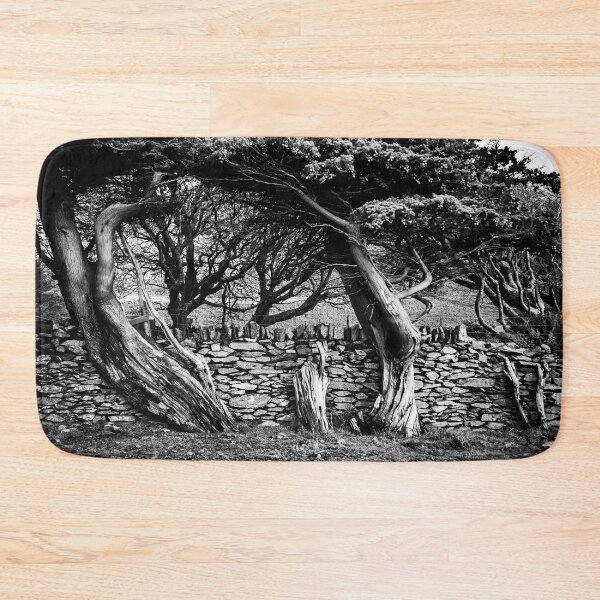Item preview, Old wood and stone designed and sold by Dave Hare Photography.