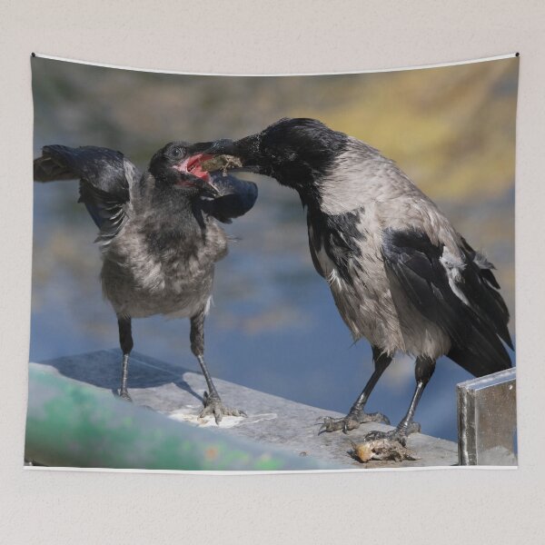 Item preview, Corvus corone cornix designed and sold by Mythos57.
