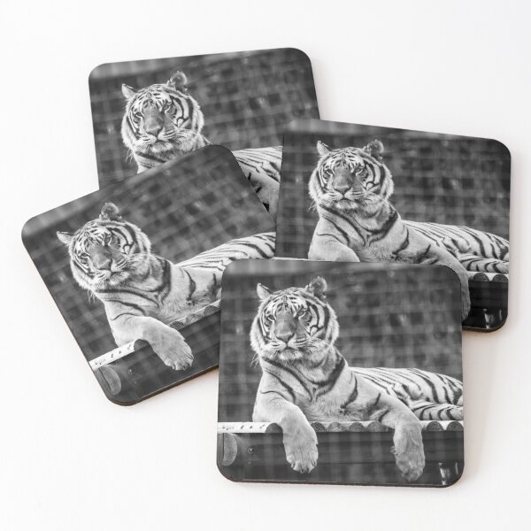 Item preview, Black & White Tiger designed and sold by LauraKCaldPhoto.