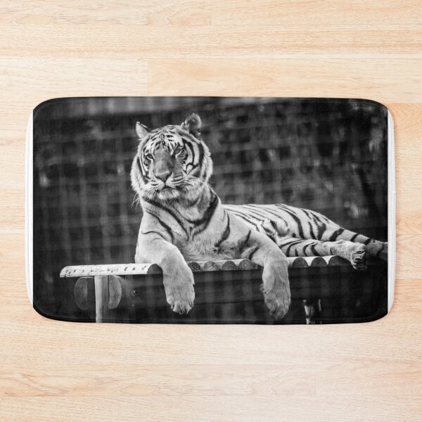 Item preview, Black & White Tiger designed and sold by LauraKCaldPhoto.