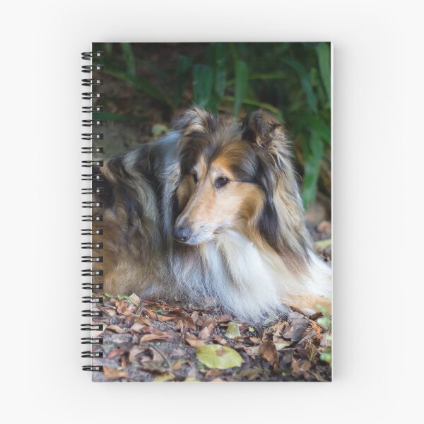 Item preview, Rough Diamond Collie designed and sold by KarenWoodArt.