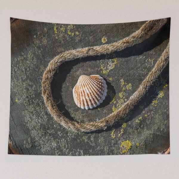 Item preview, Shell and Rope designed and sold by Dave Hare Photography.
