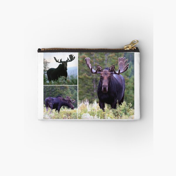 Item preview, Bull moose designed and sold by Saltypro.