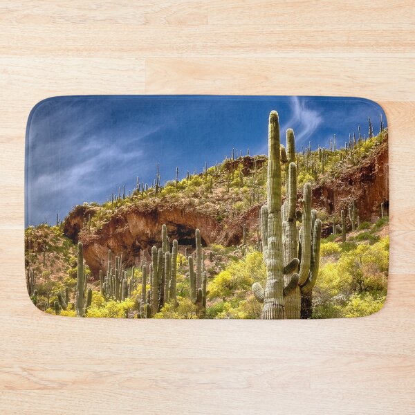 Item preview, Tonto National Monument, AZ designed and sold by Kathy Weaver.