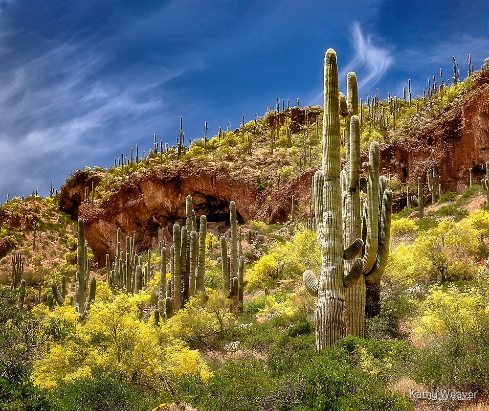 Tonto National Monument AZ By Kathy Weaver Redbubble   Flat,1000x1000,075,f.u2 