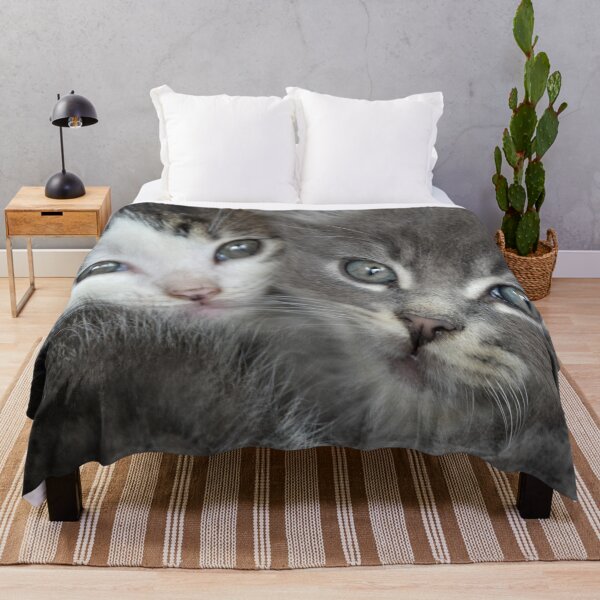 Item preview, Two Cute Kittens designed and sold by DonnaM.