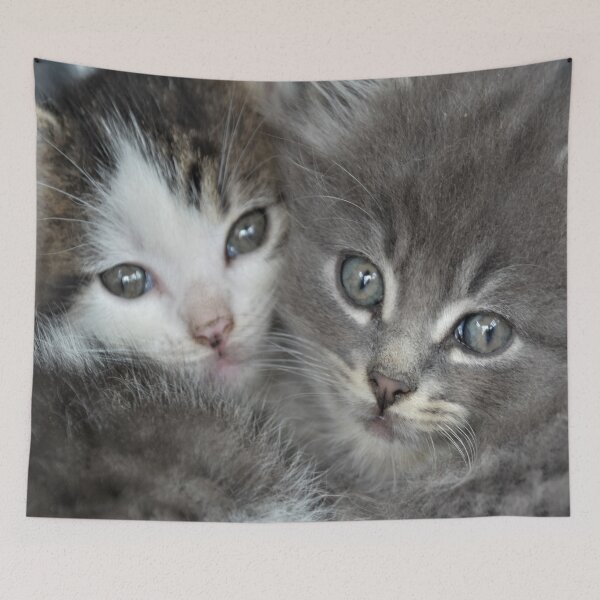 Item preview, Two Cute Kittens designed and sold by DonnaM.