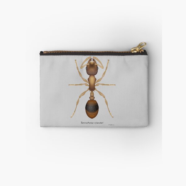 Item preview, Temnothorax ant designed and sold by C-Tiny-Factory.