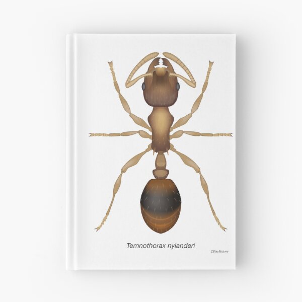 Item preview, Temnothorax ant designed and sold by C-Tiny-Factory.