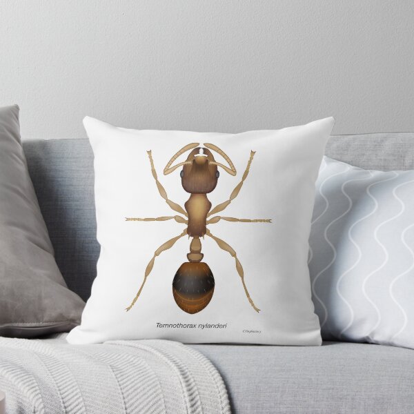 Item preview, Temnothorax ant designed and sold by C-Tiny-Factory.