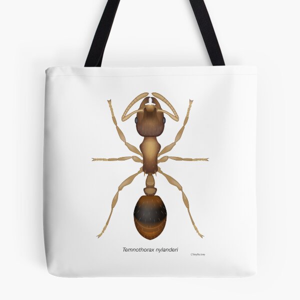 Item preview, Temnothorax ant designed and sold by C-Tiny-Factory.