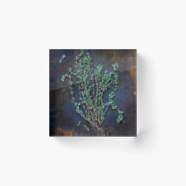 Item preview, Thyme and thyme again designed and sold by alan shapiro.