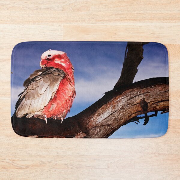 Item preview, "Birds-eye View"-Galah on Eucalypt Limb designed and sold by Ohlordi.