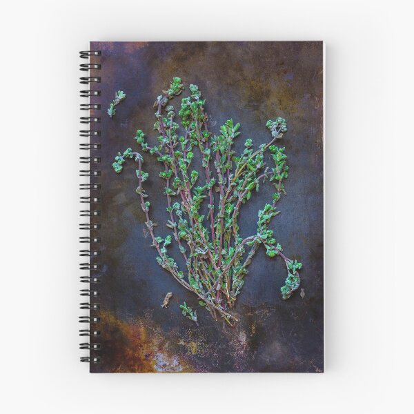 Item preview, Thyme and thyme again designed and sold by alan shapiro.