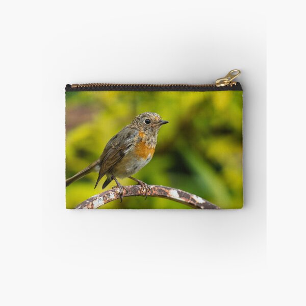 Aperçu de l'œuvre Jeune Robin perché sur une chaise de jardin rouillée créée et vendue par AndrewJonesFoto.