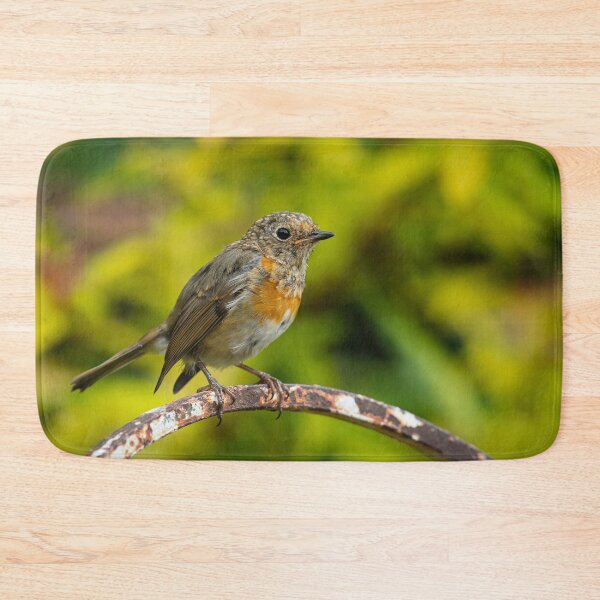 Item preview, Juvenile Robin Perched on a Rusty Garden Chair designed and sold by AndrewJonesFoto.