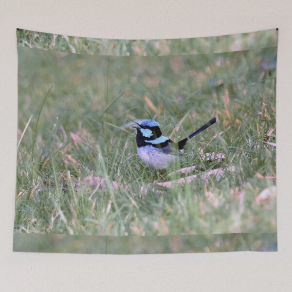 Item preview, Beautiful Little Superb Fairy-Wren  designed and sold by imaginethis.