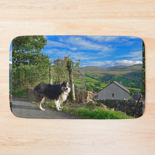 Item preview, Laddie's Sunday Stroll.  designed and sold by Michael Haslam.