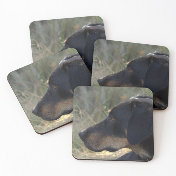 Item preview, Big Sal designed and sold by DeborahMcGrath.