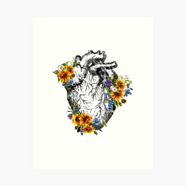 Item preview, Heart Anatomy designed and sold by Liededrom..