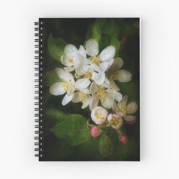 Item preview, Spring Days designed and sold by Christine Lake.