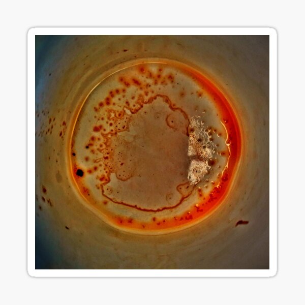 Astre microscopique - photographie Sticker
