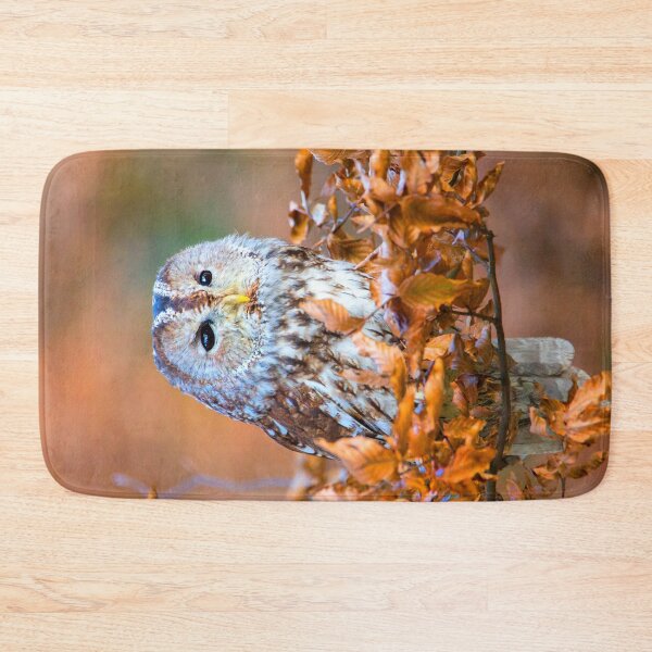 Item preview, Tawny Owl designed and sold by Dave Hare Photography.