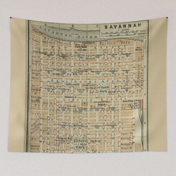 Item preview, Vintage Savannah GA Map (1904) designed and sold by BravuraMedia.