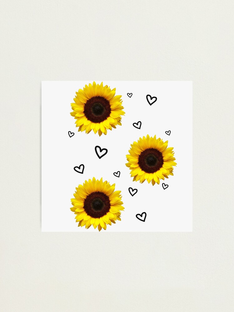 vsco sunflower hearts sticker phone case aesthetic photographic print by infiresss man redbubble