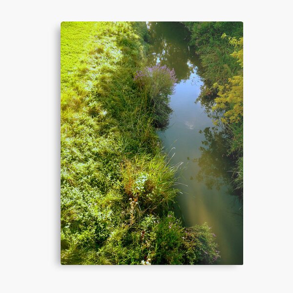 The Flow of an Ordinary Day Metal Print