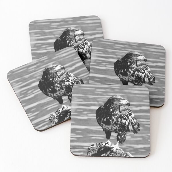 Item preview, Spotted Eagle B&W designed and sold by RichImage.