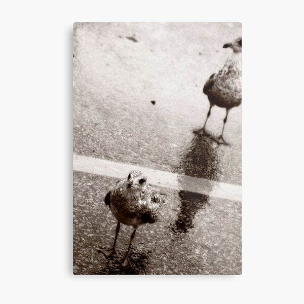 Crossin the Line ! Metal Print