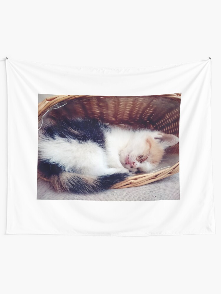 Alternative Ansicht von Süßer Katzen-Traum Wandbehang