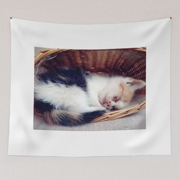 Item preview, Sweet cat dream designed and sold by Gourmetkater.