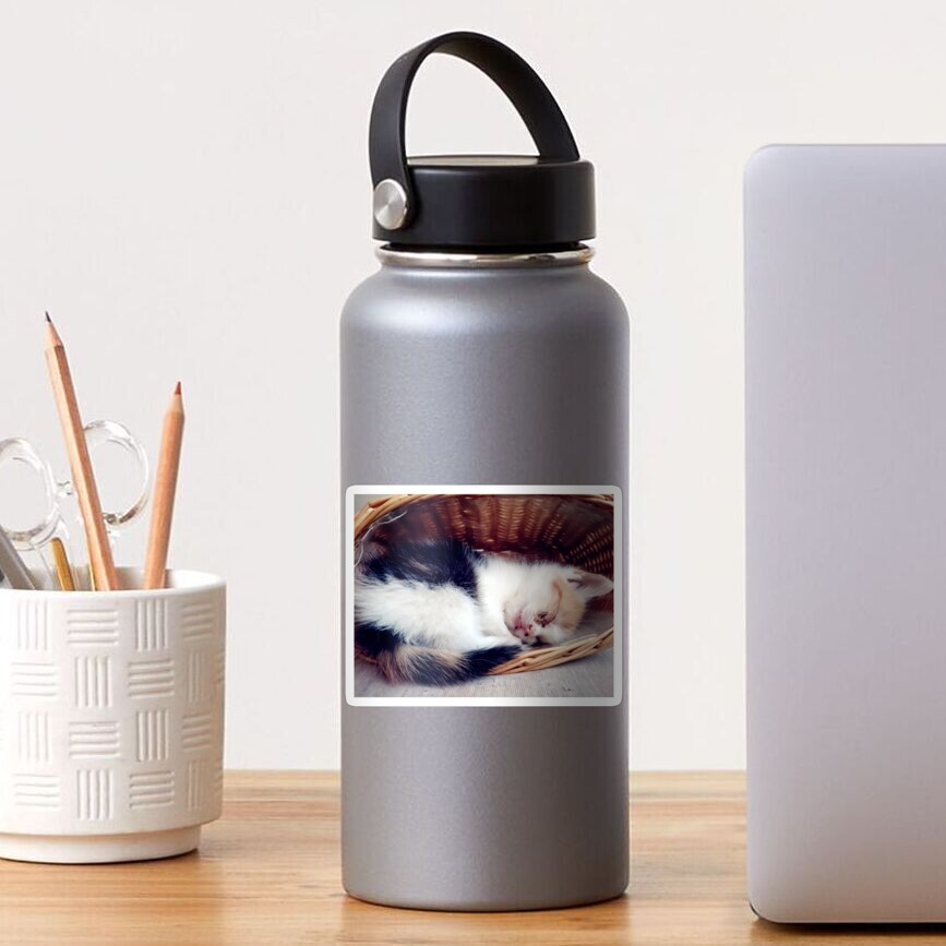 Süßer Katzen-Traum Sticker