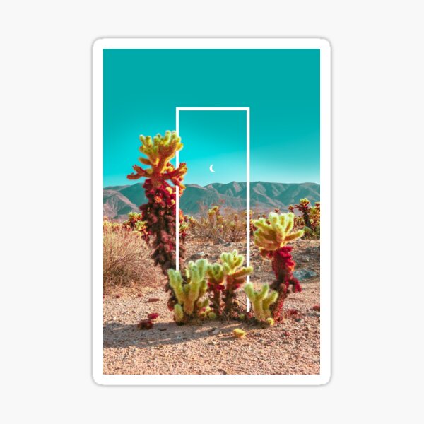 Cholla Cactus Garden Geo Sticker