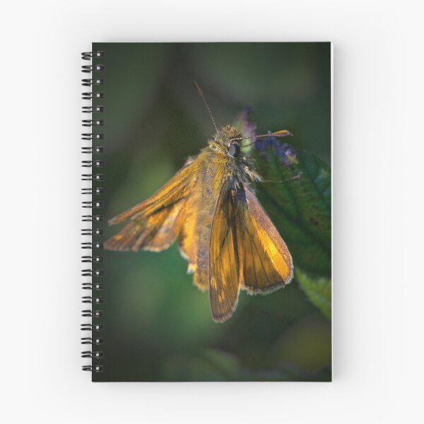 Item preview, INTO THE DAPPLED LIGHT designed and sold by NICK COBURN PHILLIPS.