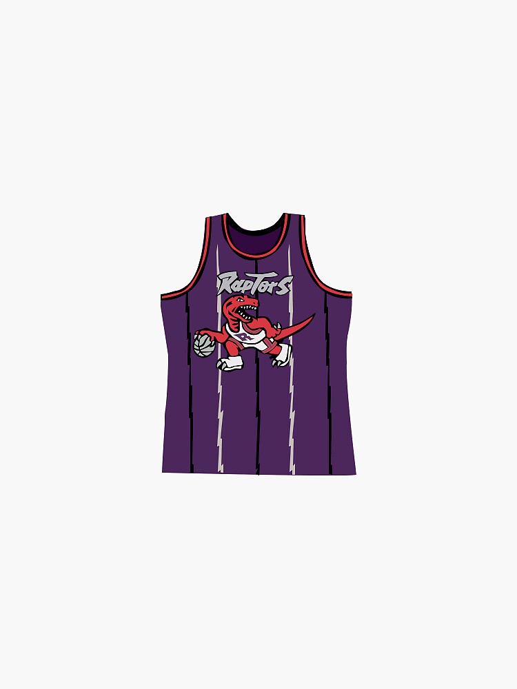 raptors throwback jersey