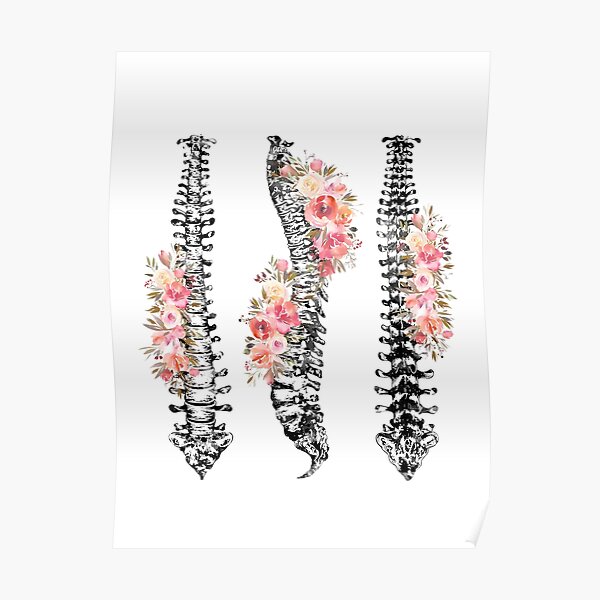 Human Spine Poster For Sale By Erzebetth Redbubble 7501