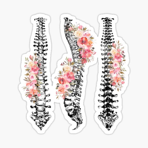 Vista previa del artículo con la obra «Columna vertebral humana», diseñado y vendido por Liededrom..