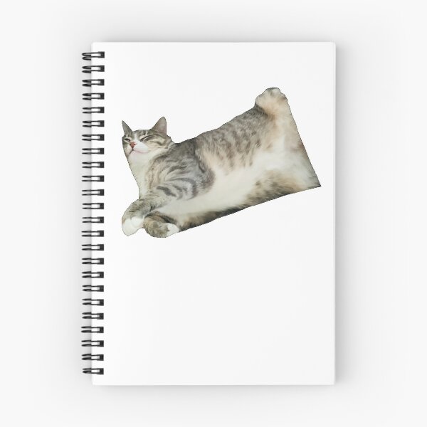 Item preview, Gato aplastado designed and sold by Trochee.