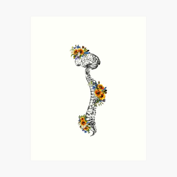 Item preview, Human Spine with Brain designed and sold by Liededrom..