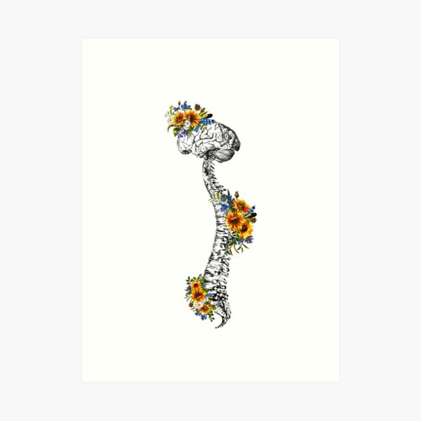 Human Spine with Brain Art Print