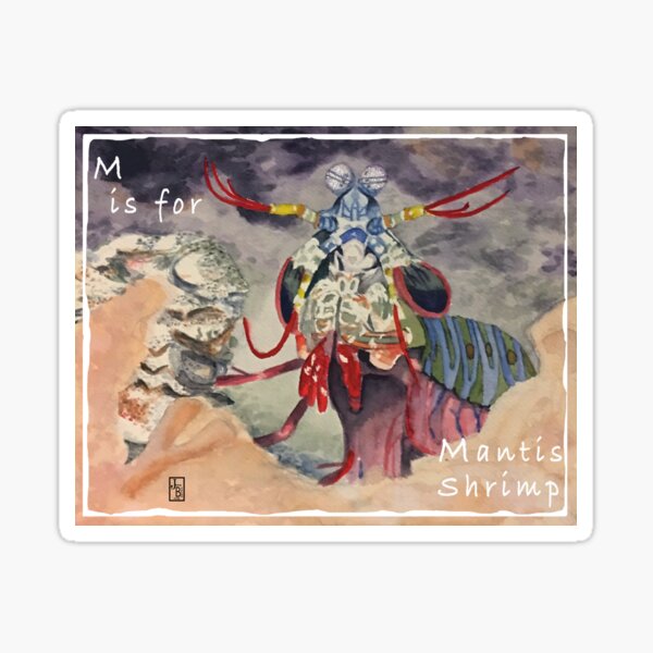 M is for Mantis Shrimp Sticker