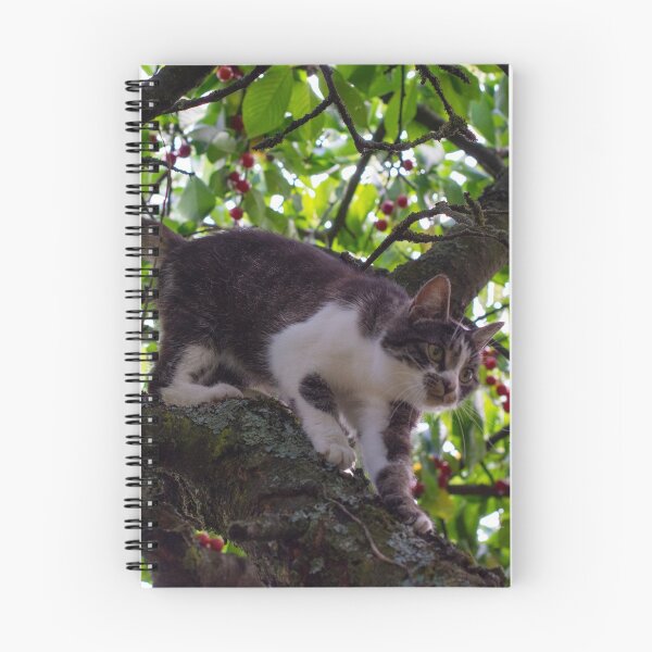 Item preview, Kat designed and sold by GOSIA GRZYBEK.