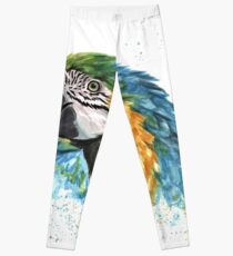 Blue macaw Leggings