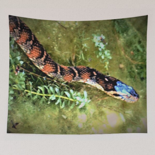Item preview, Snake eye designed and sold by B. Randi Bailey.