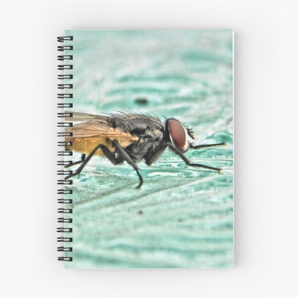 Item preview, NS Floating Fly© designed and sold by OmarHernandez.