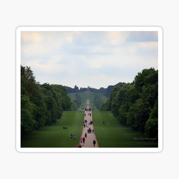 Item preview, Windsor Great Park, Berkshire, UK designed and sold by Yannik Hay.
