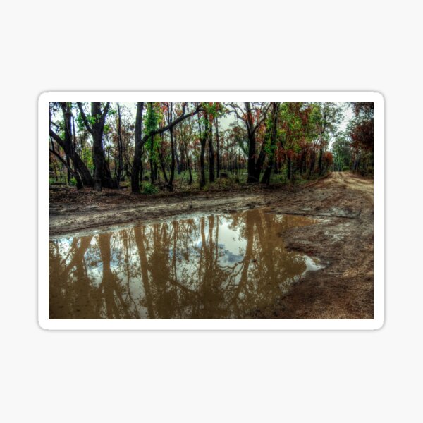When It Rains It Pours in Australia Sticker